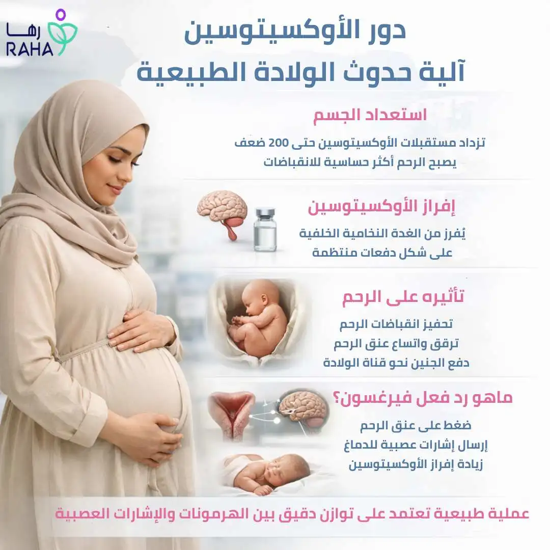 &nbsp;دور هرمون الأوكسيتوسين